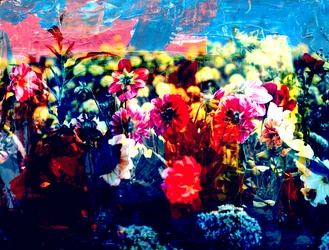 Field, 2019, (collage)