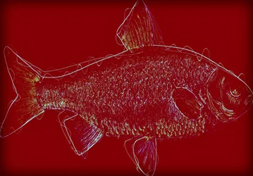 Fish V,2020 ,(blandade media)