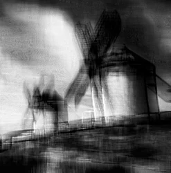 Wings of the wind, 2019, (fotografi)