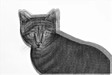 elektrisk katt, 2019, (blandade media)