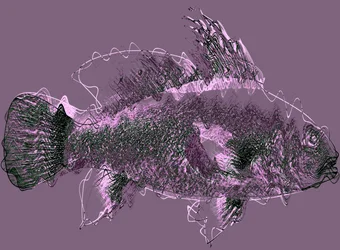 fisk III,2020,(blandmedier)