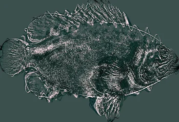 fisk i grönt, 2020, (blandteknik)