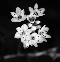 relation, 2019, (fotografi)