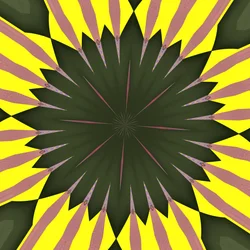 solros, 2019, (digital)