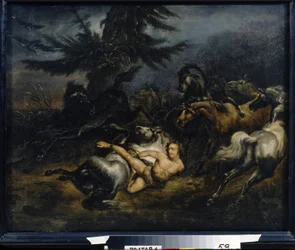 Ivan Mazepa (Jean Mazeppa) (1639-1709). Efter att ha blivit fångad i flagrant äktenskapsbrott blir han tjärad och bunden naken på en vild häst som bär honom till de ukrainska stäpperna. Målning av Alexander Osipovich Orlowski (1777-1832), hu