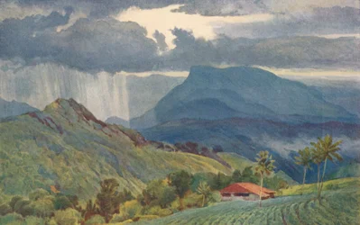 En tropisk dusch, c1880 1905.