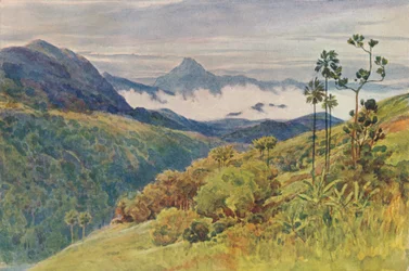 Morgondimmor i dalen av Mahaweli Ganga, c 1880 1905.