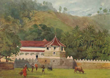 The Temple of the Tooth, Kandy - Exteriör, c1880 1905.