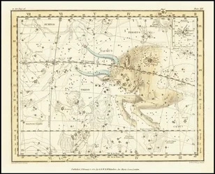 1822 - Alexander Jamieson - Oxen