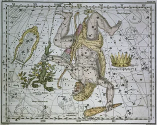 Hercules, från "A Celestial Atlas", pub. år 1822