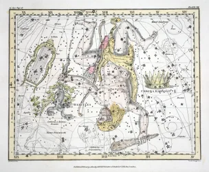 Konstellationerna (platta VIII) Corona Borealis, Hercules och Cerberus, Lyra, från "A Celestial Atlas" av Alexander Jamieson, pub. London 1822 (handfärgad gravyr)