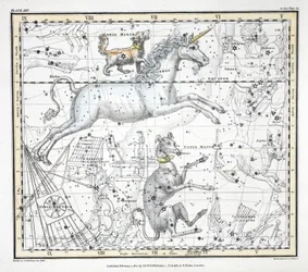Konstellationerna (platta XXV) Canis Major, Canis Minor, Monoceros, Argo Ship, l