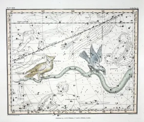 Konstellationerna (platta XXVII) Hydra Continua, Crater, Covus, Centaurus et Lupus, från "A Celestial Atlas" av Alexander Jamieson, pub. London 1822 (handfärgad gravyr)