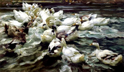 Ducks Gathering (olja på duk)