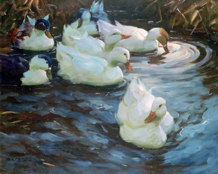 Änder på en damm, omkring 1884-1932