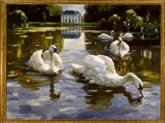 A. Koester, svanar i Nymphenburg