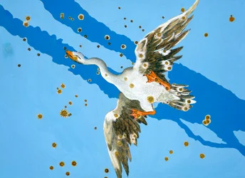 Fiskarnas stjärnbild, 1603