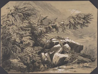Skogar och berg
