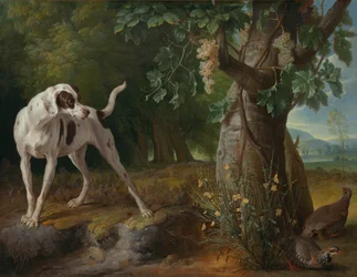 Hund som pekar på rapphöns i ett landskap