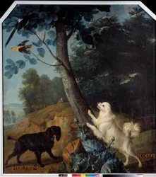 Merluzine och Cocoq, Ludvig XIV:s (1638-1715) hundar. Målning av Francois Desportes (1661-1743)
