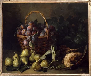 Stilleben, fikon och plommon målning av Francois Desportes (1661-1743) 1700-talets Paris, dekorativ konst