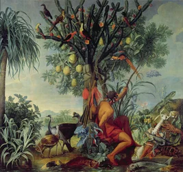 Den indianske jägaren, 1740