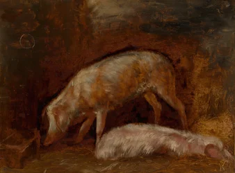 Study of Pigs, 185060.