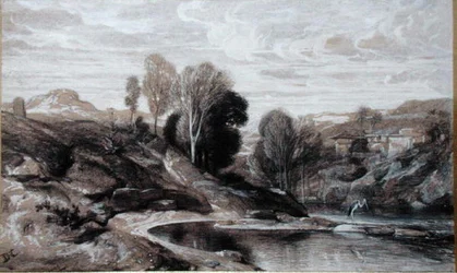 Hägern (bistre och tvätt på papper)