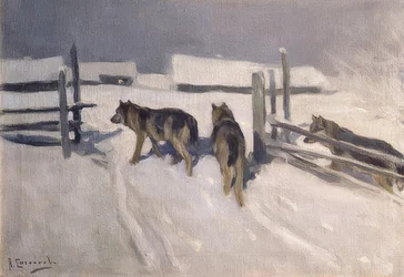 Vargar. Vinternatt. Omkring 1910