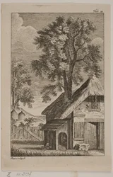 Spindeln och biet