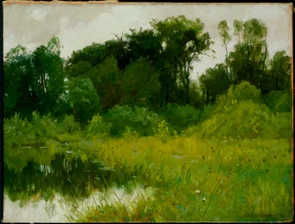Efter regn, på Minnehaha Creek