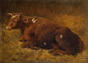 En ko som ligger på marken, 1865-1872.