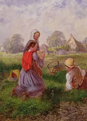 Plocka blommor