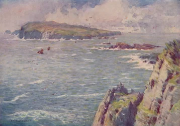 Människans kalv, 1910