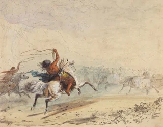 Lassoing Wild Horses, ca 1837 (penna, penna, bläck, akvarell och gouache på papper)
