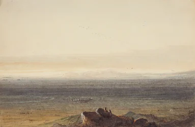 Prairie, c.1837 (penna, akvarell och gouache på papper)