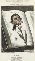 Déséchée flower: tecknad film på Littré - ill. från 1871-02-01 i "Dagens blommor, frukter och grönsaker"