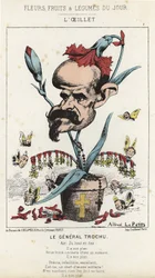 Nejlikan: Tecknad film om general Louis Jules Trochu (1815 - 1896) - ill. av 1871-01-11 i "Dagens blommor, frukter och grönsaker"