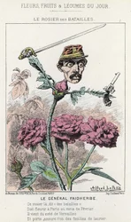 The Rosier des Batailles: tecknad serie om general Faidherbe - ill. från 1871-01-20 i "Dagens blommor, frukter och grönsaker"