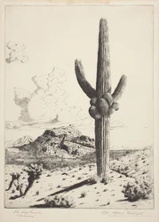The Sentinel (Sahuaro) (etsning och akvatint)
