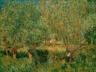 A.Sisley, betesmarker på stranden av Orvanne