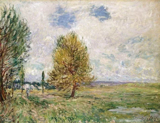 Slätten i Veneux-Nadon, 1881