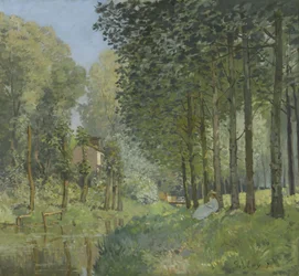 Rast vid bäcken. Kant av skog