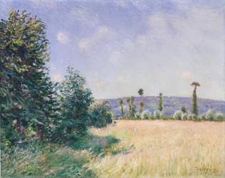 Sahurs Meadows in Morning Sun, 1894.