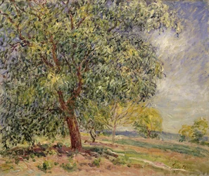 Valnötsträd på Sablons på våren; Valnötsträd vid Sablons, våren, 1885