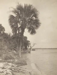 I Rockledge, Florida