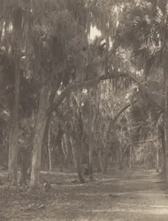 I Rockledge, Florida