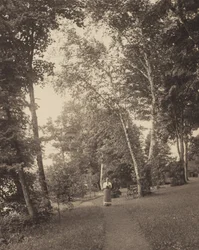 Hedwigs stig, Oaklawn, Lake George