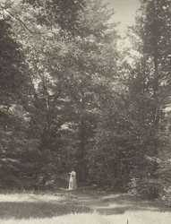 ”Hedwigsweg” II, Lake George