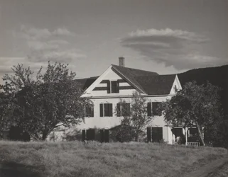 Hus och träd, Lake George